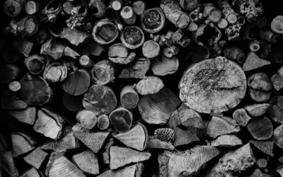 INTERPELLATION — Coupes de bois le long de la Vuachère, quelles raisons et quelle communication?
