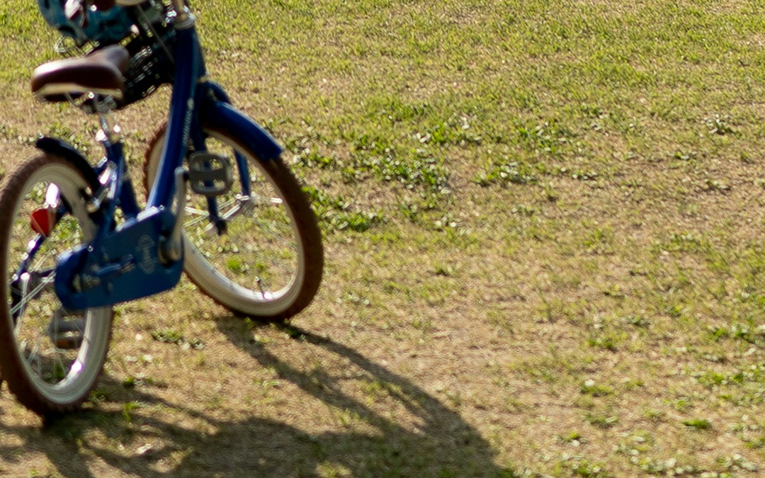 POSTULAT – Pour un apprentissage systématique du vélo à l’école