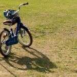 POSTULAT – Pour un apprentissage systématique du vélo à l’école